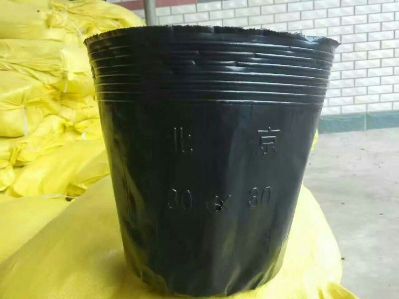黑色营养杯抗老营养钵塑料育苗杯柑橘苗杯育苗盆育苗袋无纺布