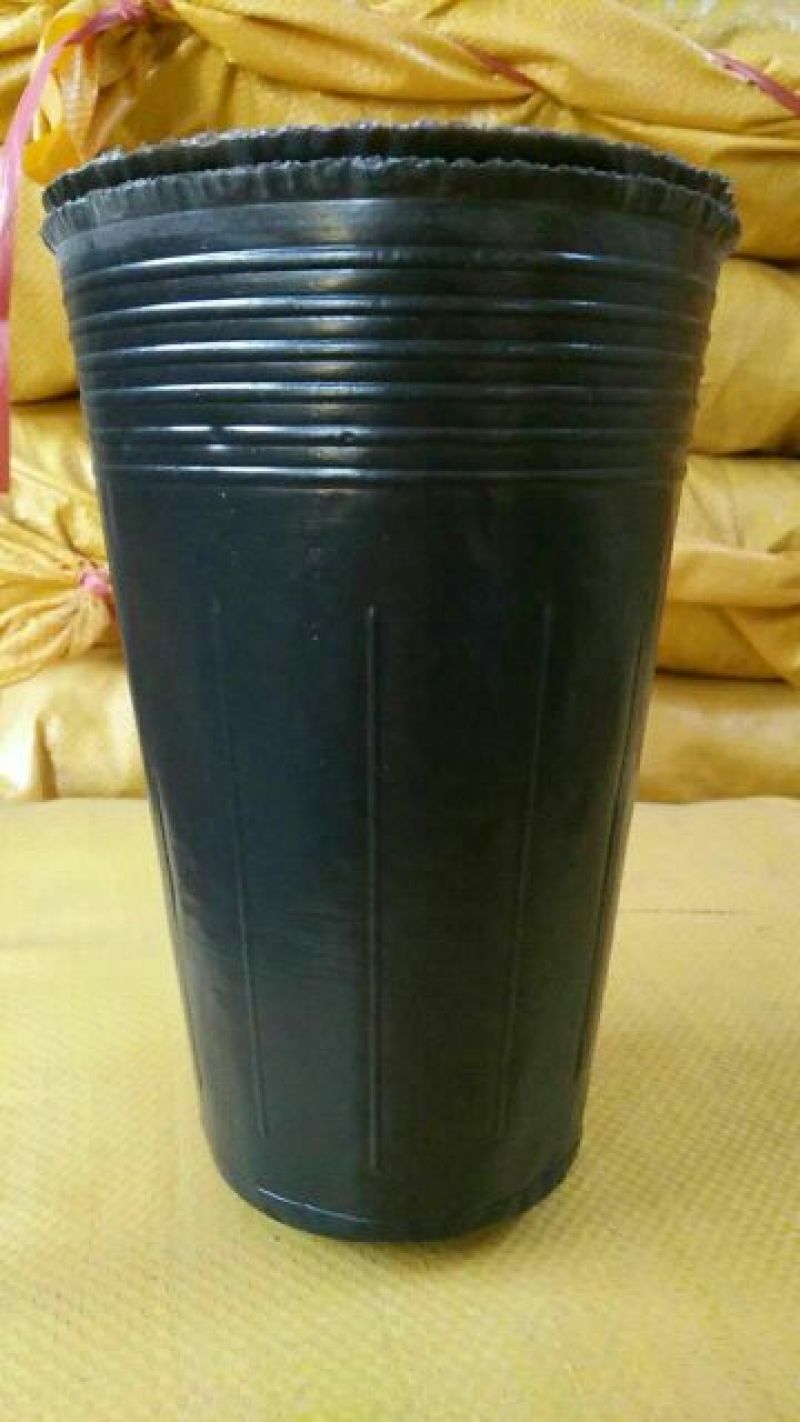 黑色营养杯抗老营养钵塑料育苗杯柑橘苗杯育苗盆育苗袋无纺布