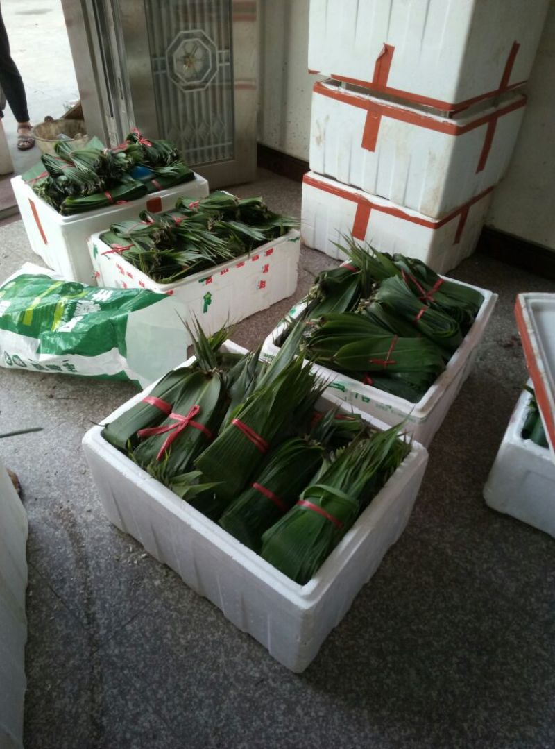 大量供应野生粽叶宽7公分以上，干粽叶