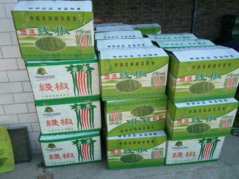 鲜辣椒
