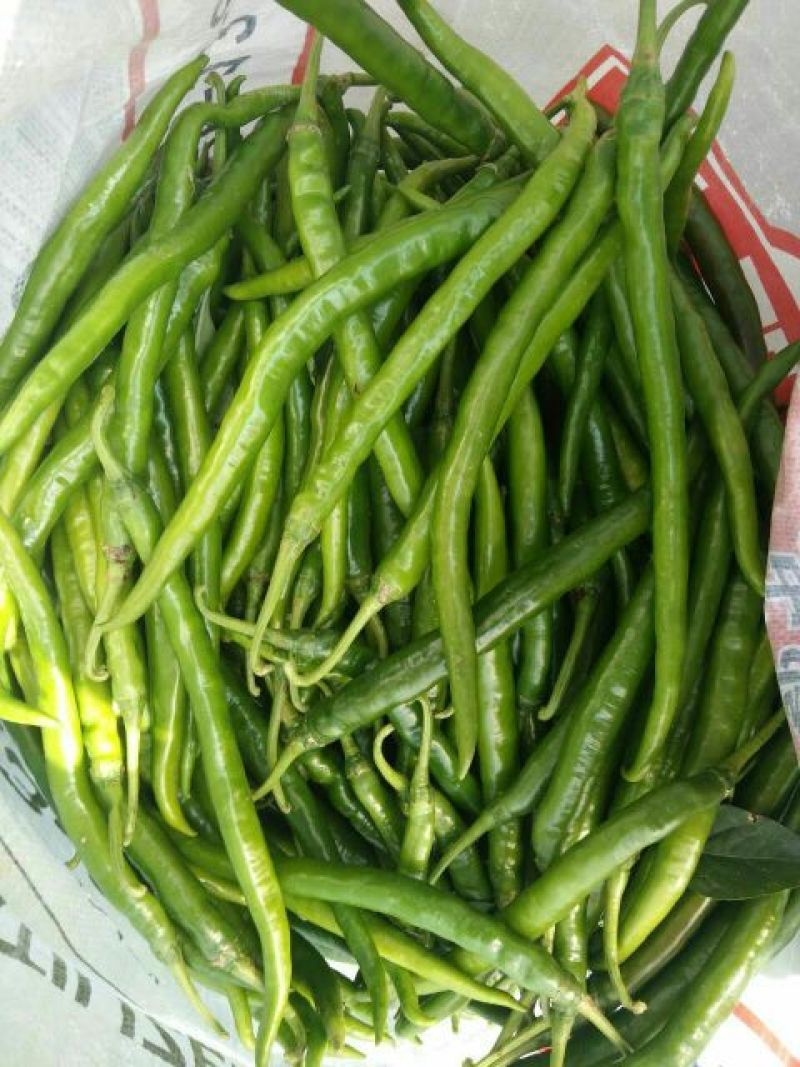 鲜辣椒