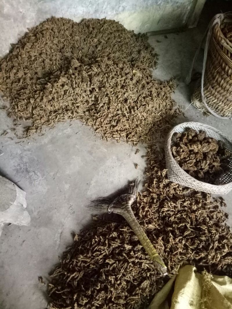 黄莲