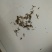 鹤虱北鹤虱中药材批发零售大量供应货真价实