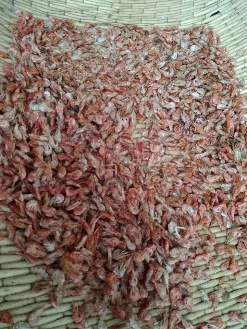 白米虾