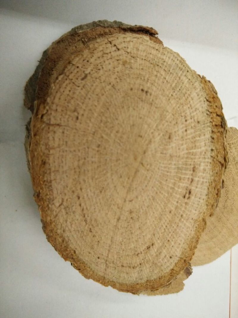 南蛇藤中药材批发零售大量供应货真价实