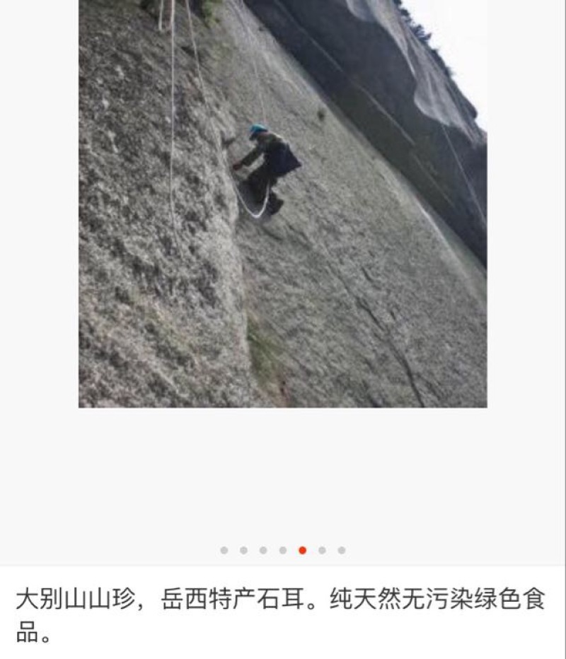 石耳