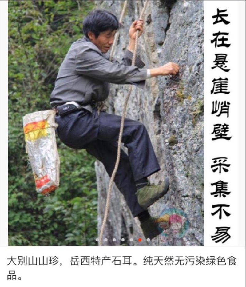 石耳