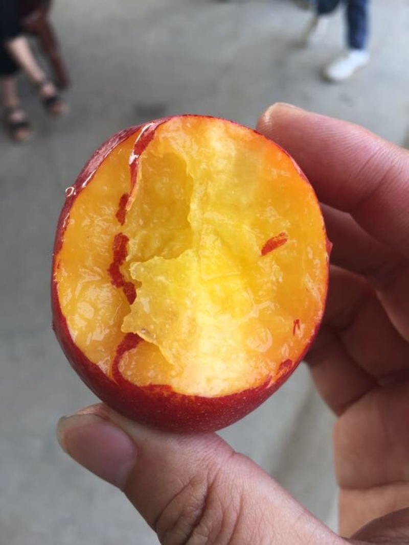 油桃