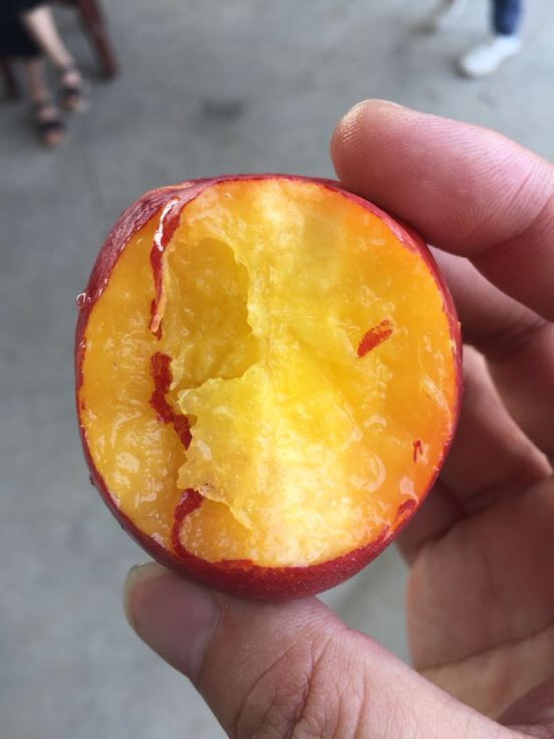 油桃
