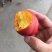 油桃