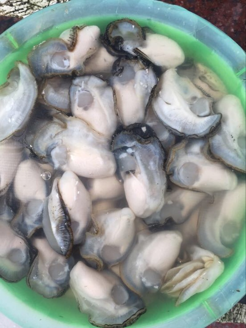 食用牡蛎