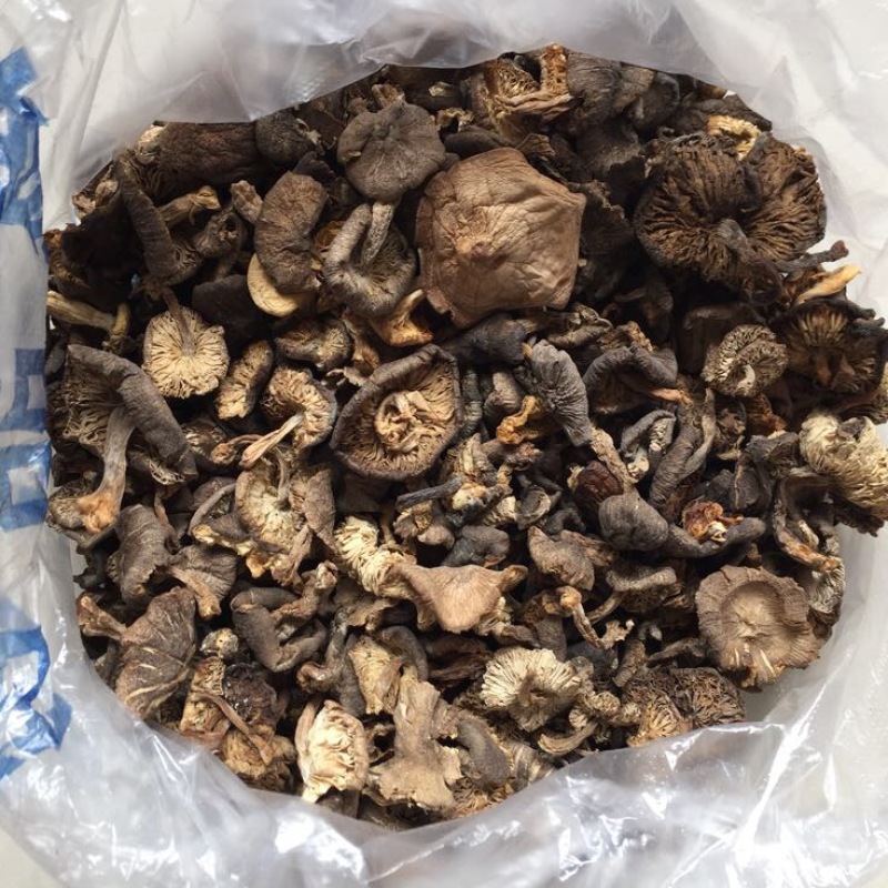 脱水白菜