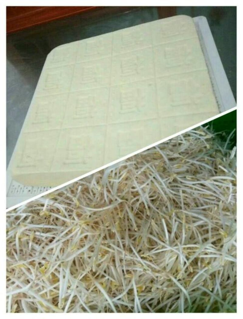 豆腐湿豆腐