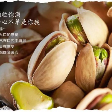 开心果
