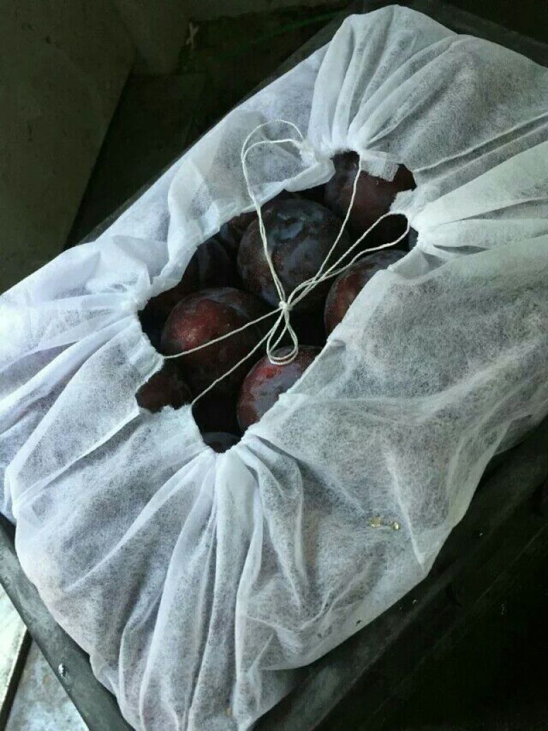 保鲜袋各种水果框套袋无纺布透气防菌防止摩擦包装袋水果