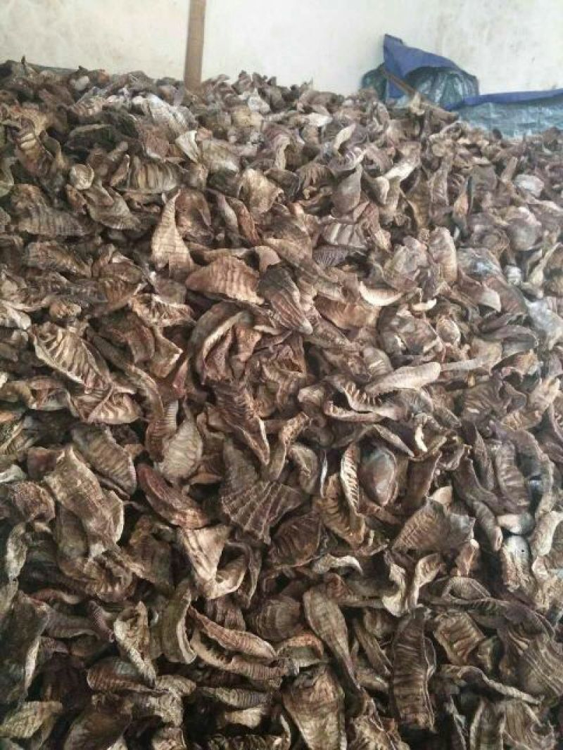 水煮笋干淡笋干