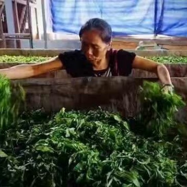 普洱茶一级