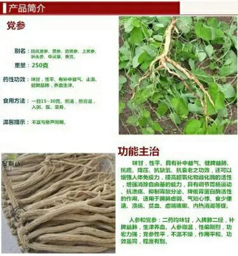 恩施板桥党参自家种植板桥党参种苗种子干货