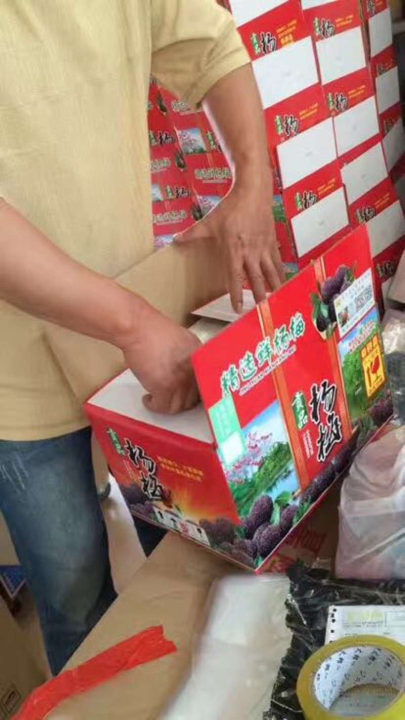 龙海杨梅