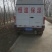 龙虾苗龙虾种伊乐藻地笼