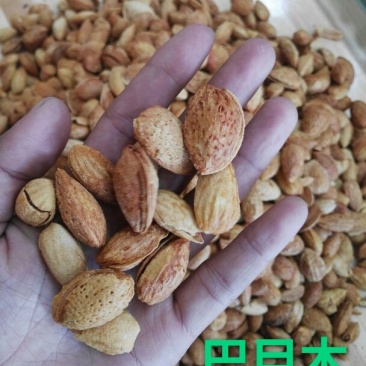 新疆巴旦木袋装