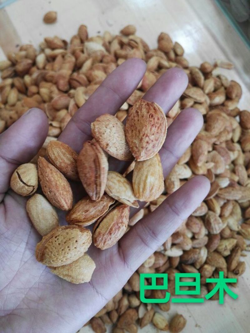 新疆巴旦木袋装