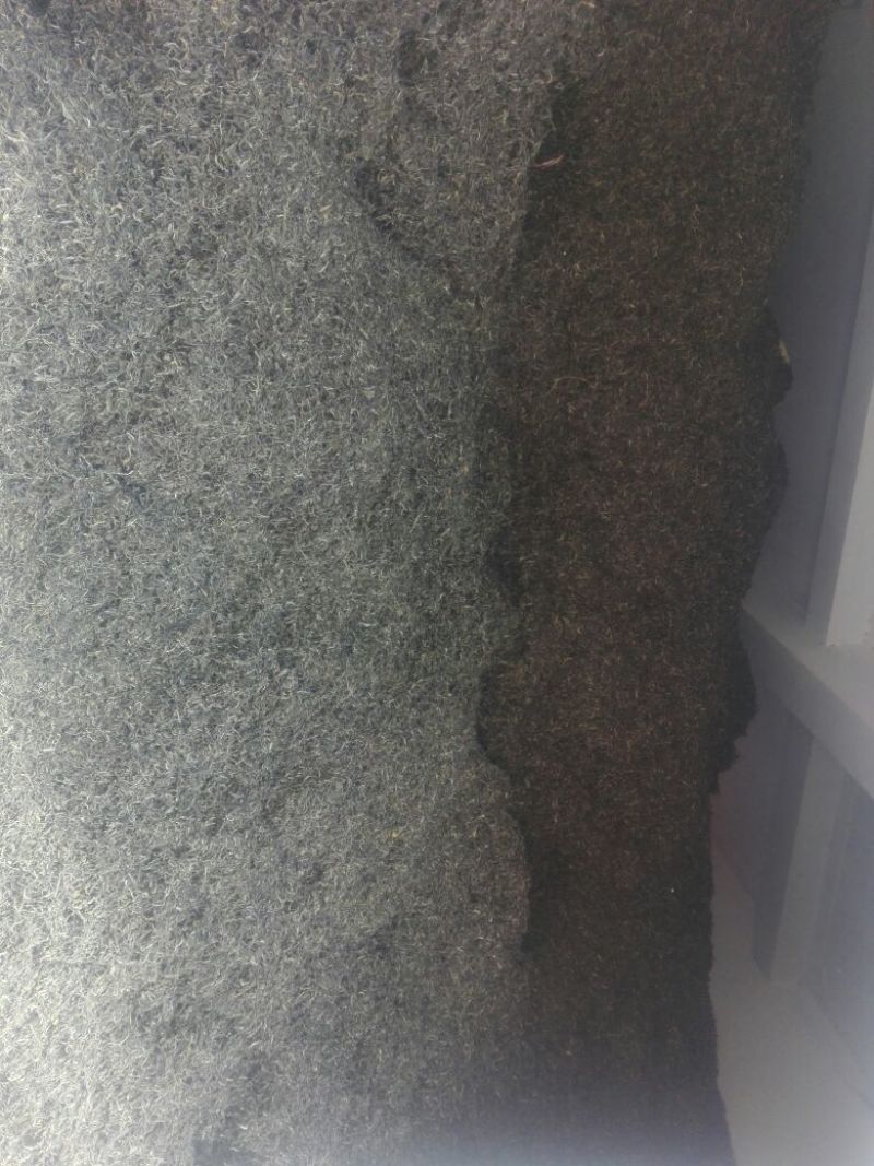 普洱茶四级