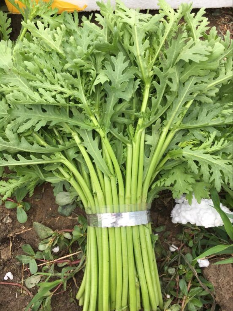 蒿子杆