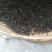 古树普洱茶一级