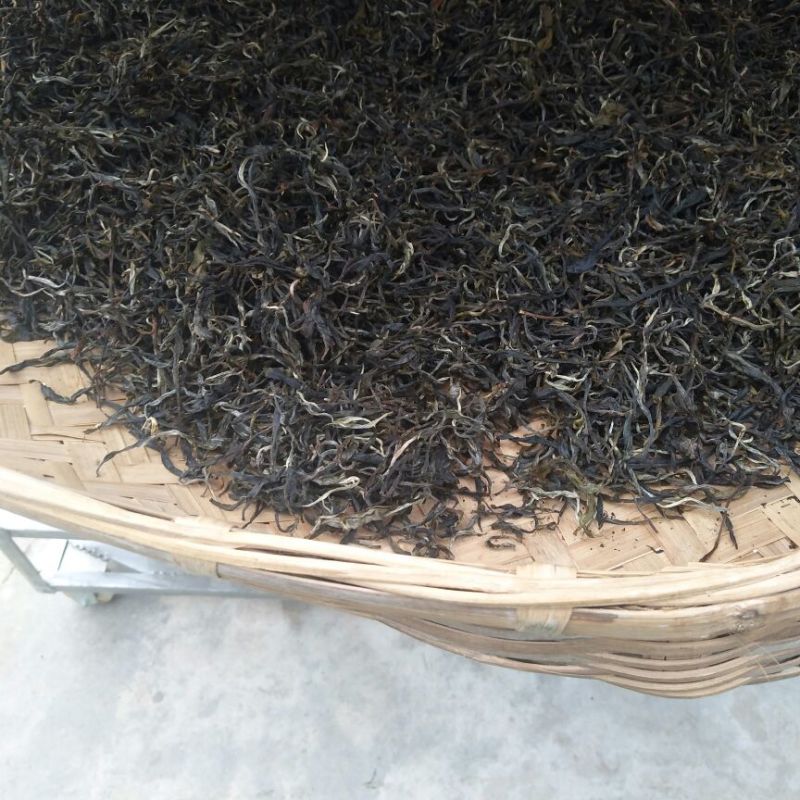 古树普洱茶一级