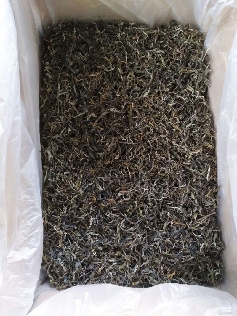 古树普洱茶一级
