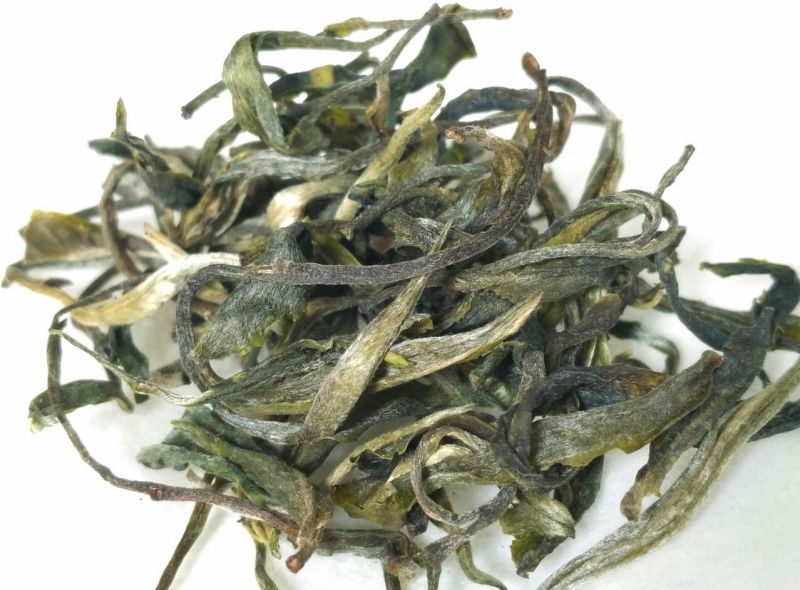古树普洱茶晒青毛茶云南凤庆原产