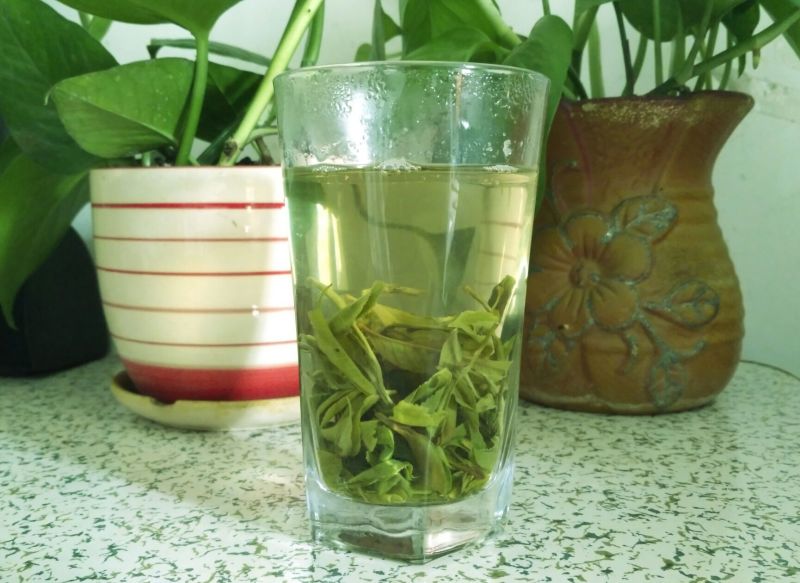 古树普洱茶晒青毛茶云南凤庆原产