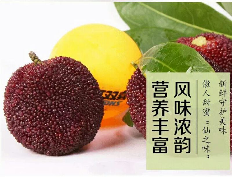 东魁杨梅5~6cm