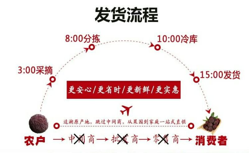 东魁杨梅5~6cm