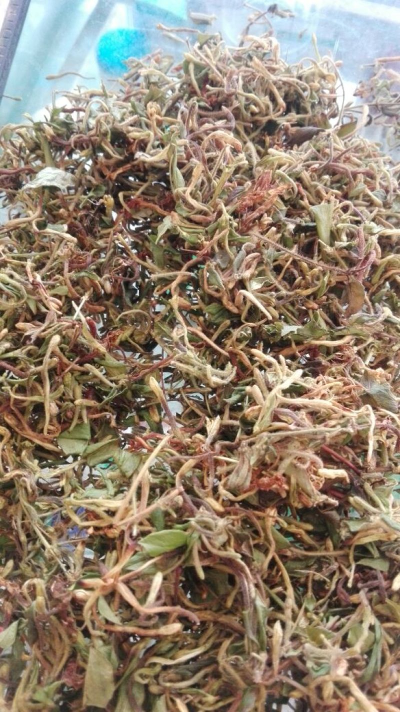 野金银花，自然生长，入药泡茶**，无任何添加。