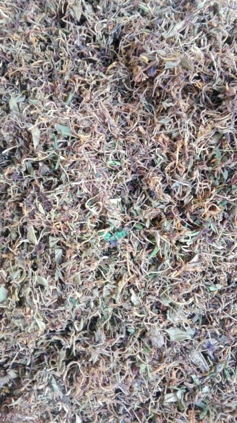 野金银花，自然生长，入药泡茶**，无任何添加。
