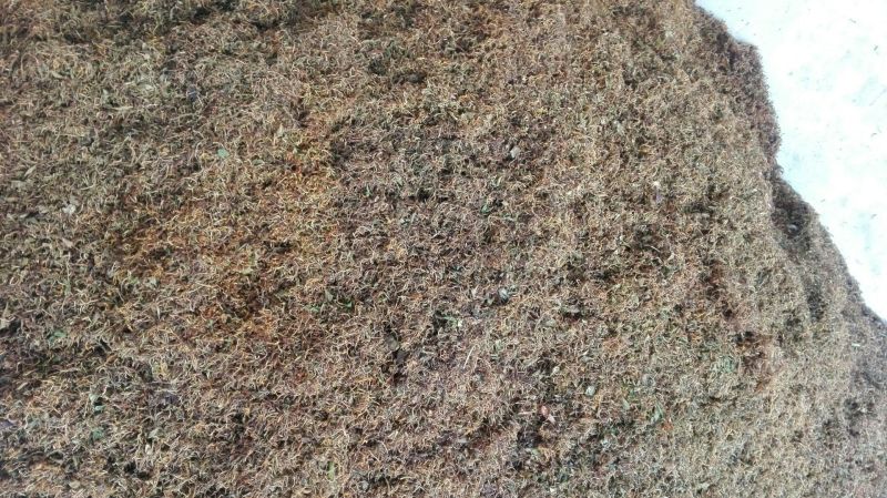 野金银花，自然生长，入药泡茶**，无任何添加。