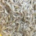 河虾冻虾26~30只/kg