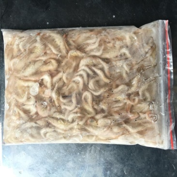 河虾冻虾26~30只/kg