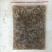 河虾冻虾26~30只/kg