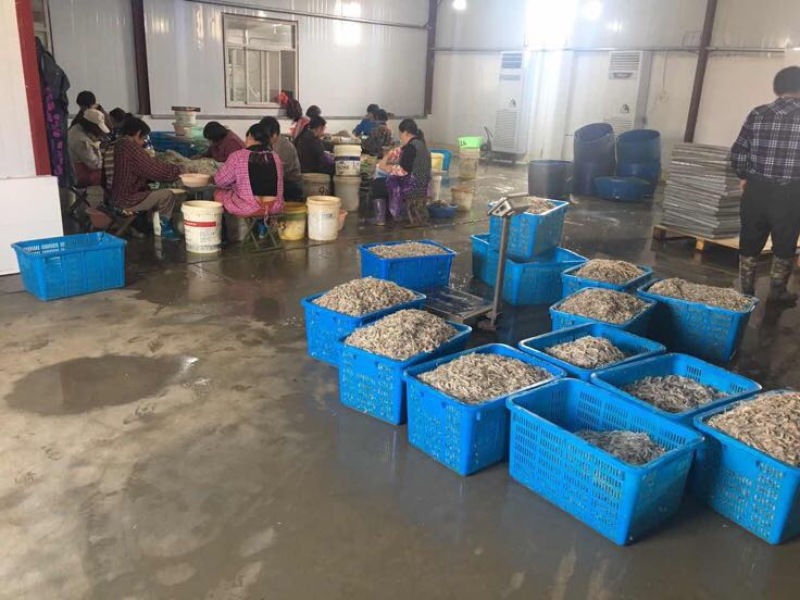 河虾冻虾26~30只/kg