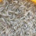 河虾冻虾26~30只/kg