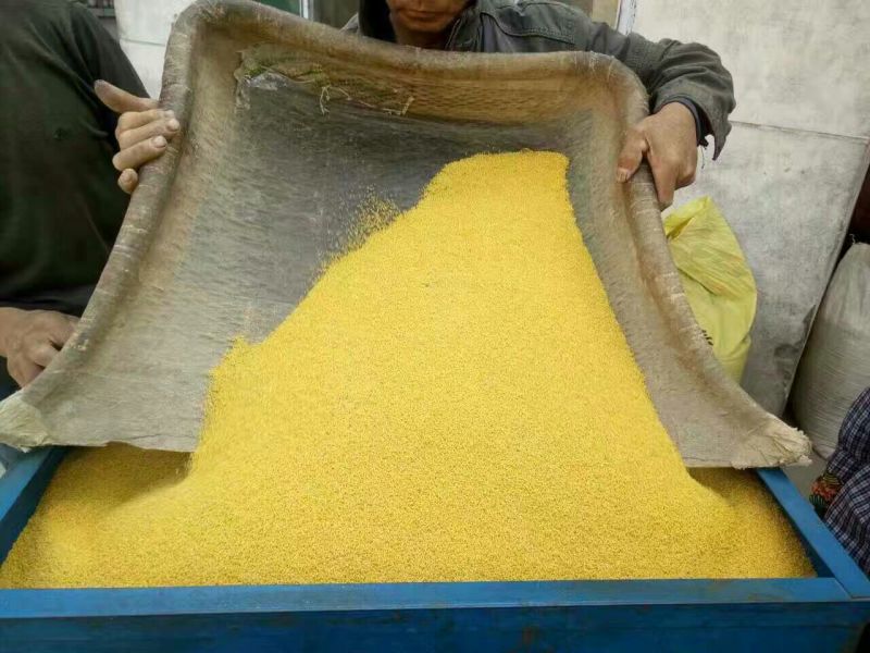 批发沁州黄小米散装oem定制