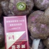 杨春亮的一亩田店铺