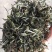 普洱茶