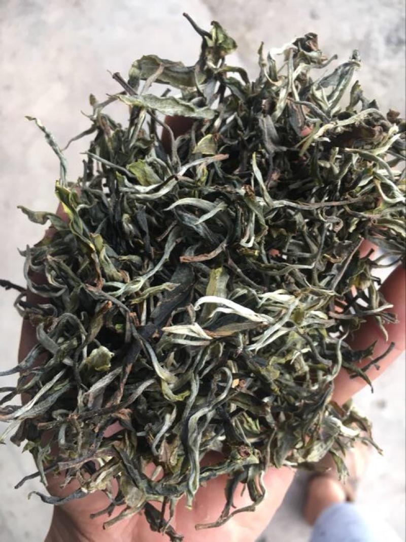 普洱茶