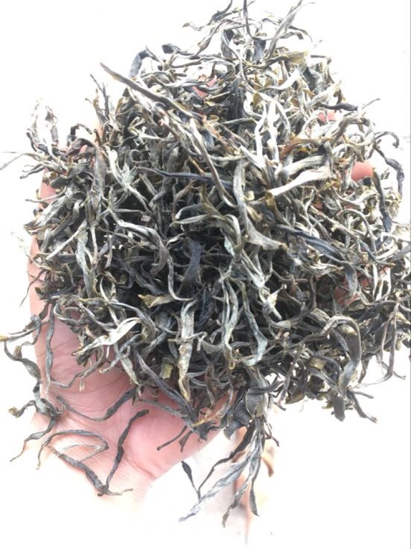 普洱茶