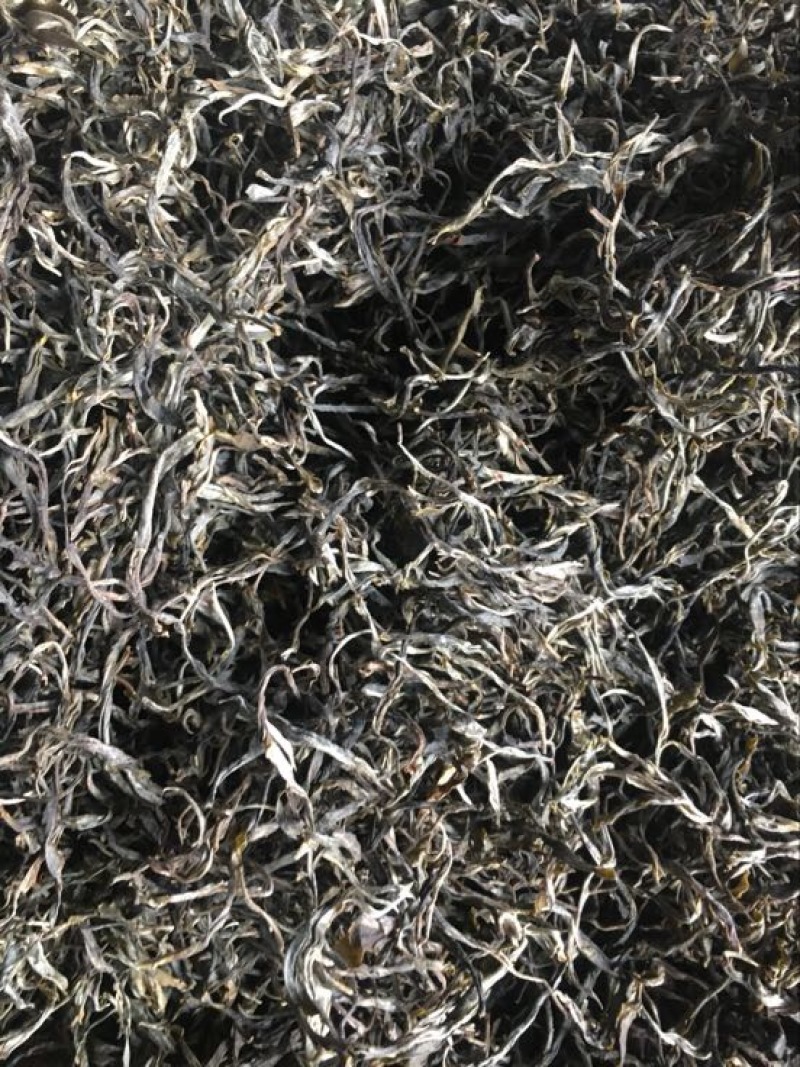 普洱茶