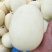 东方蜜1号甜瓜通货1.5斤以上